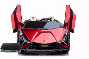 Spare Body Part for 24v Shiny Drifting Lamborghini Sian Car