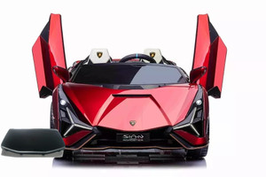 Spare Body Part for 24v Shiny Lamborghini Sian Car