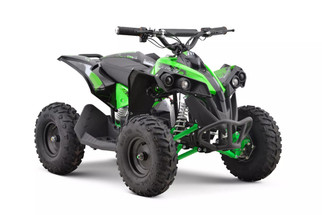 Pre-Assembled & 48V Teen Shaft Driven Quad Bike