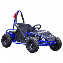48v Older Rugged 1000W Mud Kart