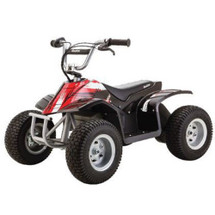 Razor 24v 8+ Off Road 350W Quad Bike