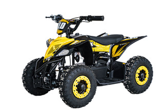 48V 1000W Electric Quad Bike