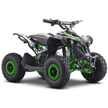 48V 1000W Quad Bike