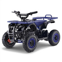 Rancher Style 36v Battery 1000w AQuad