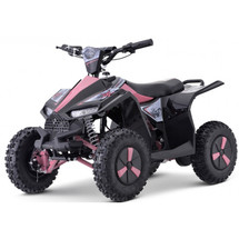 36v 1000W Futuristic Battery Quad Bike