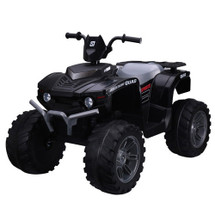 12v 2WD Farm Yard Quad Bike