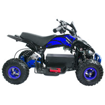 36v Chain Driven Electric Quad Bike for Age 8