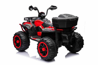 ACE 4WD Quad Bike
