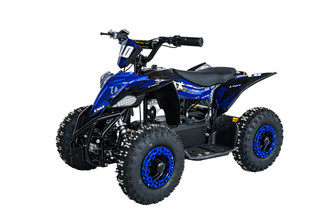1000W 48V Electric Quad Bike