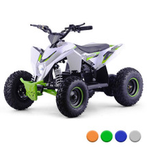 2018 Premium Off Road 36v Quad