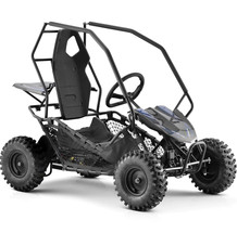 36v Roll Cage Off-Road Car For