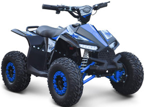 48V 1200W Quad Bike