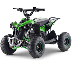 1200W 48V Electric Quad Bike