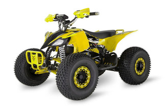 BumbleBee 60v 1500W Pro Shaft Driven Quad Bike