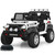 Spare Body Part for 12V Electric Wagon