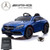 Replacement High/Low Switch for 12v Mercedes C Class Metallic Car