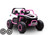 Set of Replacement Rear Wheels for 24v UTV Big Wheeled Buggy