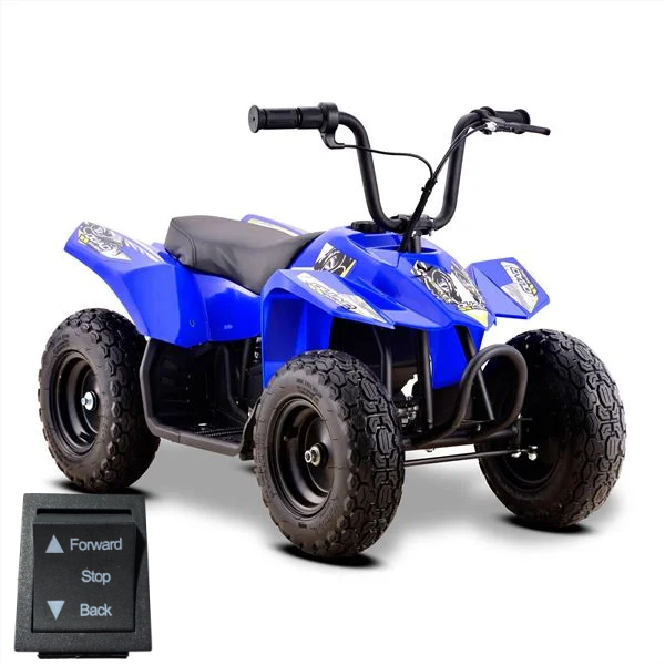 Replacement Forward/Back Switch for Bambii 250w 24v Rechargeable Quad Bike