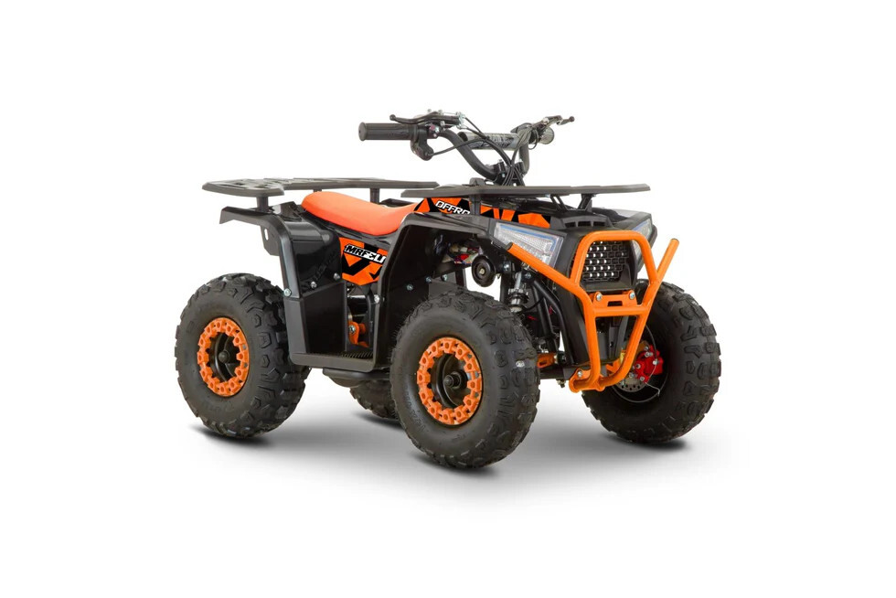 48V 1000W Farm Style Quad Bike