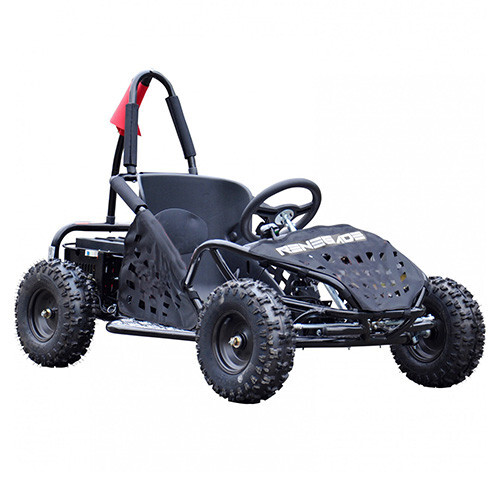 Older 1000w All 48v Electric Racing Buggy