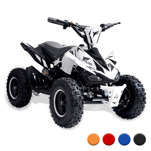 36v 800w Parental Speed Off Road Quad Bike