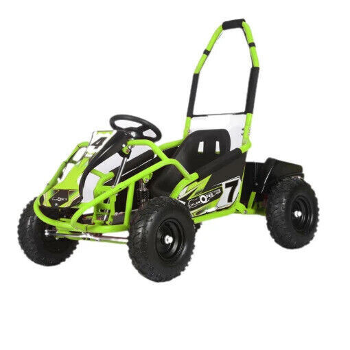 1000w Racing Off Road Battery Buggy