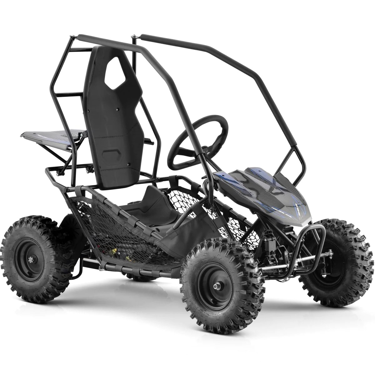 36v Roll Cage Off-Road Car For