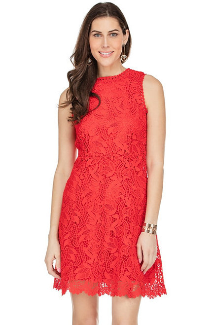 Lace Fit & Flare Dress- Red