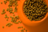 Reading a Dog Food Label Properly