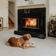 Settling a Rescue Dog Into a New Home