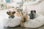 Calming Donut Dog Bed