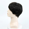 AOSIWIG Black Short Straight Wigs For Black Men Natural Synthetic Hair Heat Resistant Cosplay Wigs