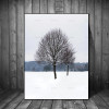 nordic poster Canvas Painting home decor art  Prints Tall Trees Forest  Natural Wall Pictures Living Room Art Decoration Picture