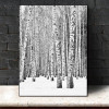 nordic poster Canvas Painting home decor art  Prints Tall Trees Forest  Natural Wall Pictures Living Room Art Decoration Picture