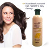 Ginger Hair Shampoo Professional Hair &amp; Scalp Treatment Healthy Hair Growth Smoothing Anti Hair Loss 