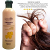 Ginger Hair Shampoo Professional Hair &amp; Scalp Treatment Healthy Hair Growth Smoothing Anti Hair Loss 