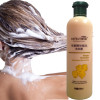 Ginger Hair Shampoo Professional Hair &amp; Scalp Treatment Healthy Hair Growth Smoothing Anti Hair Loss 