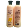 Ginger Hair Shampoo Professional Hair &amp; Scalp Treatment Healthy Hair Growth Smoothing Anti Hair Loss 