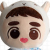 2019 New KPOP EXO Plush Doll Kyungsoo D.O. XIUMIN Baby Doll Stuffed Handmade Fans Toy Collection Soft Kpop Plush Dolls 24cm/9" 