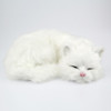 Plush Animals White Yellow Lifelike Sleeping Cats Realistic Pets Models Children Birthday Gifts Creative Home Decoration Kid Toy