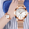 Watches Women Top Brand Luxury Casual Watches Clock Rose Gold Mesh Stainless Steel Ladies Wrist Watch Ladies Watch Dropshipping