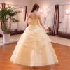 Champagne Red White Wedding Dress 2022 New Arrival Ruffles Appliques Sweetange Korean Style bride Summer