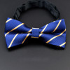 Men Bow Ties 2017 Newest Polyester Bow Tie Brand Male Polka Dot Bowtie Necktie Business Wedding Men Neckties Gravata Borboleta