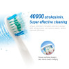 SEAGO Electric Toothbrush with 3 Replacement Brush Heads Sonic Adult Battery Teeth brush holder Waterproof Smart time SG910 gift