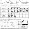 CONMEIVE Brand Comfortable Men Shoes Spring and Autumn Male Adult Loafers Breathable Fashion Mens Sneakers Size 38-47