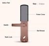 Fingerprint Lock For Home Anti-theft Door Lock Keyless Smart Lock With Digital Password RFID Unlocked
