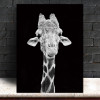 Wall Art Pictures animal canvas painting black and white art Wall poster home decor print on canvas decoration for living room 