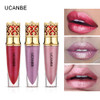 UCANBE Brand 6 Colors Shimmer Matte Liquid Lip Gloss Makeup Long Lasting Metallic Pigmented Velvet Lipgloss Cosmetics lip stain