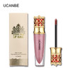 UCANBE Brand 6 Colors Shimmer Matte Liquid Lip Gloss Makeup Long Lasting Metallic Pigmented Velvet Lipgloss Cosmetics lip stain