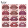  D.S.M Popular Sexy Matte Lip Gloss Waterproof Long-lasting Lips Tint Makeup Natural Color Lipgloss Makeup Liquid Lipstick